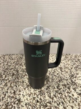 Stanley Travel Mug with Handle - Charcoal with Mint Logo 30 Oz New